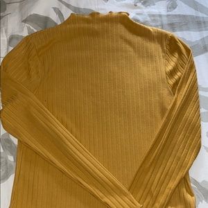 Cropped long sleeve turtle neck